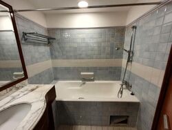 Cavenagh Lodge (D9), Apartment #601956011
